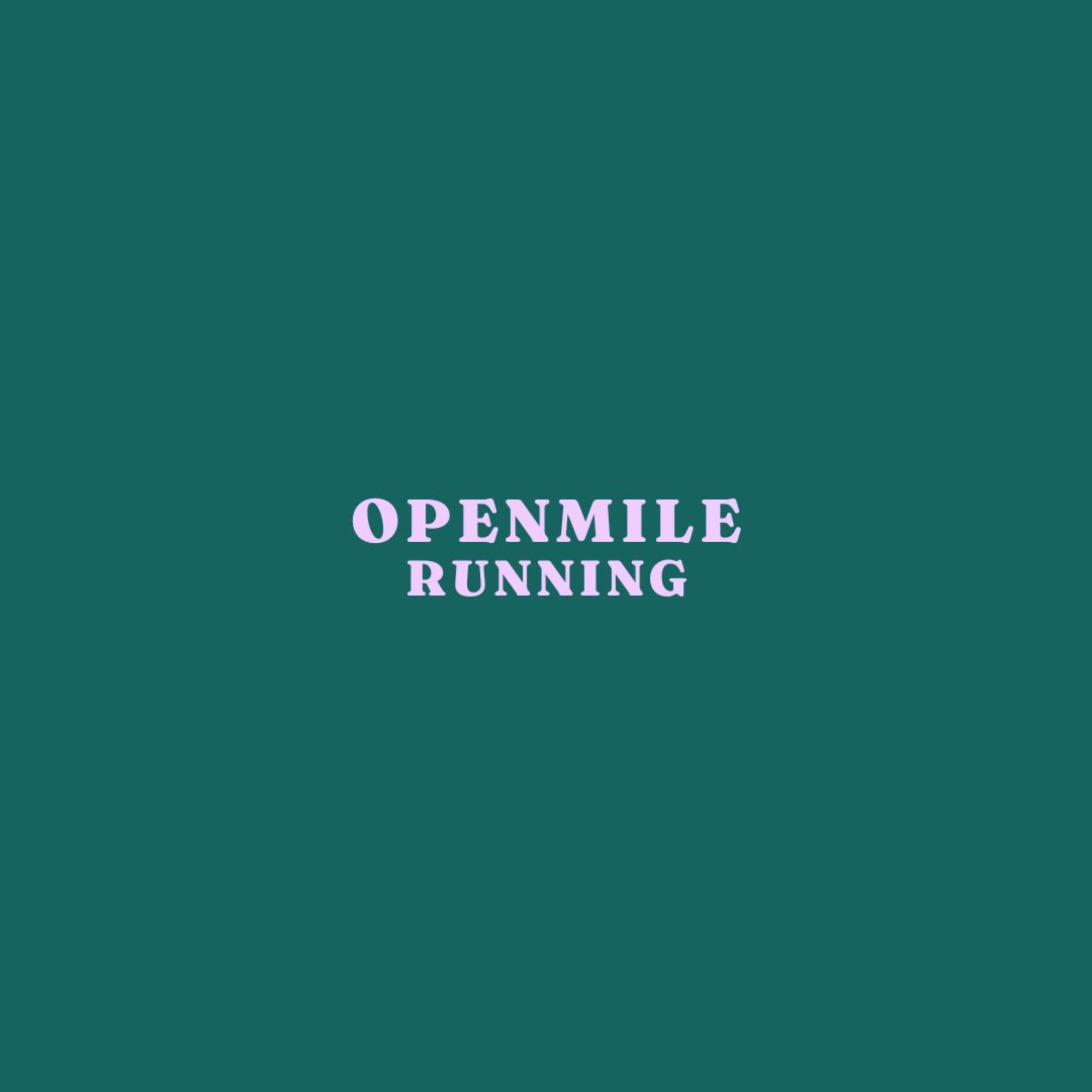Open Mile Bali logo