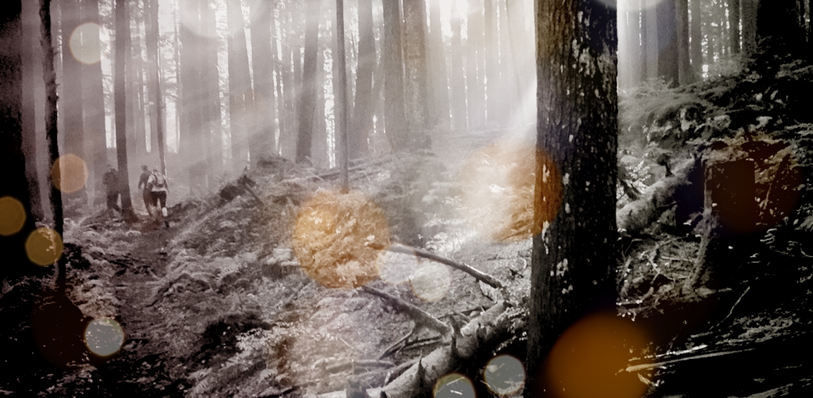 Abbotsford Trail Running Club crew picture