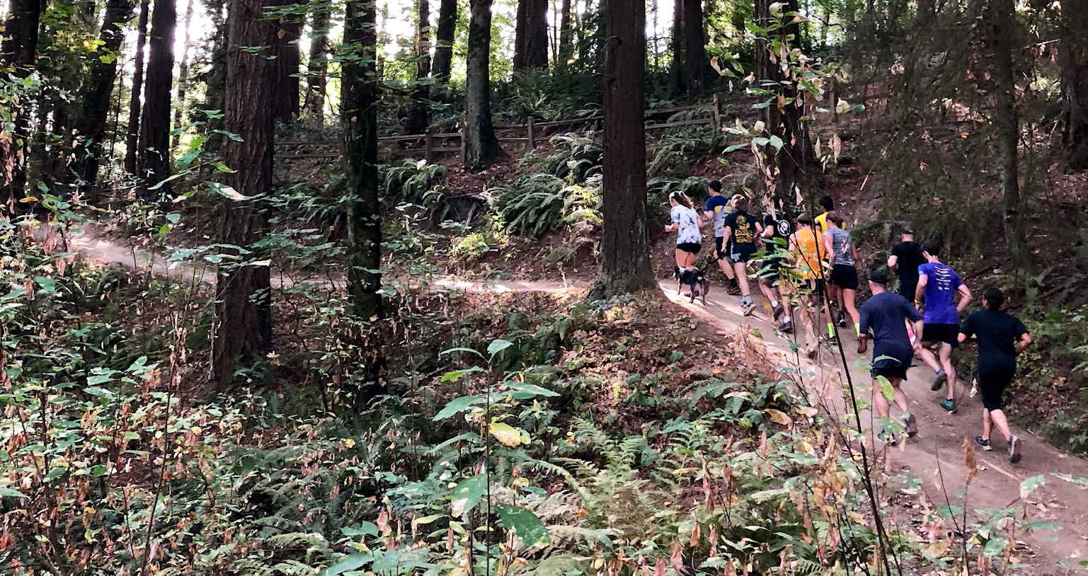 Stumprunners crew picture